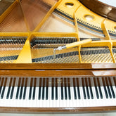 Heinrich HG-152 Grand Piano - WALNUT